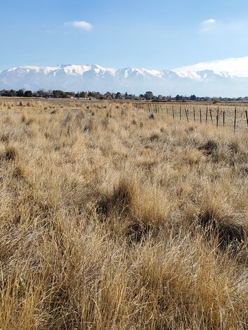 Image for #23-002 - Utah Department of Transportation (UDOT)