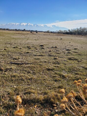 Image for #23-002 - Utah Department of Transportation (UDOT)