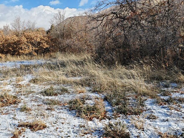 Image for #23-006 - Utah Department of Transportation (UDOT)