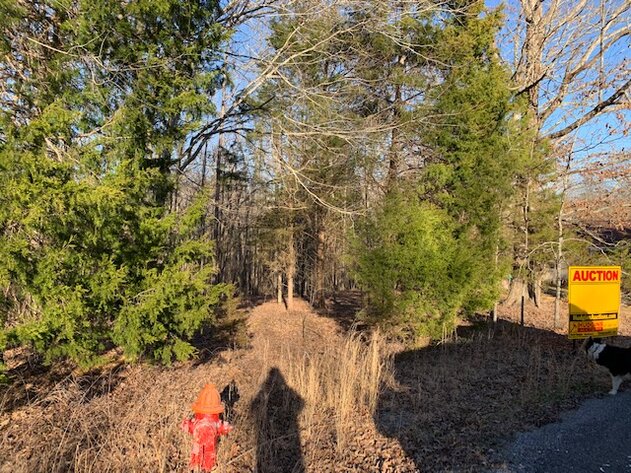 Image for Vacant Lot near Golf Course / Skyview Drive in Centerville