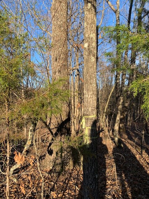 Image for Vacant Lot near Golf Course / Skyview Drive in Centerville