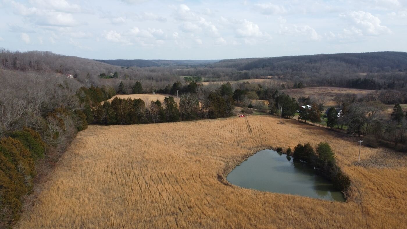 Image for 80 acre Farm on Beaverdam Creek / Offered in two tracts