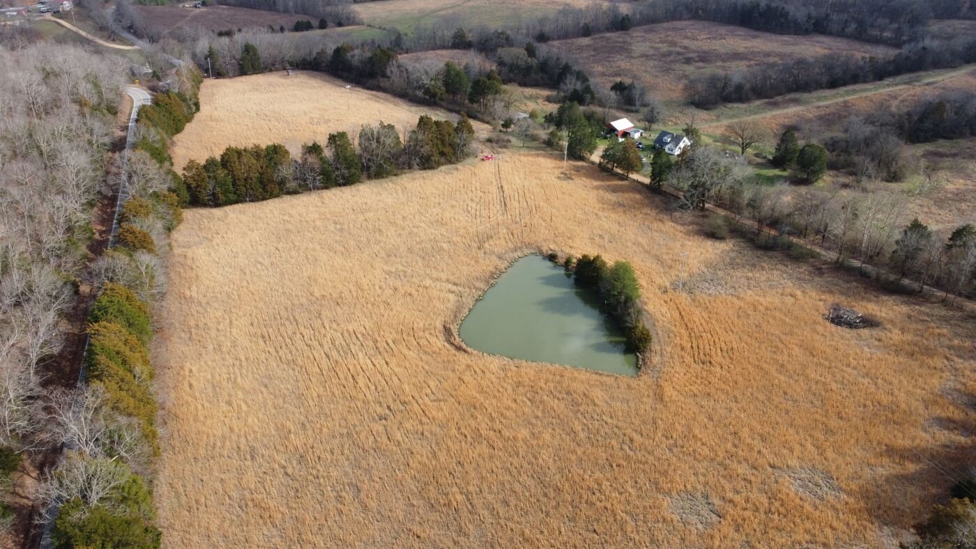 Image for 80 acre Farm on Beaverdam Creek / Offered in two tracts