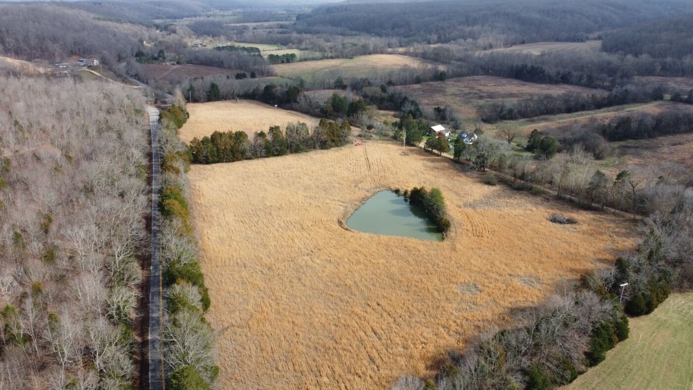 Image for 80 acre Farm on Beaverdam Creek / Offered in two tracts