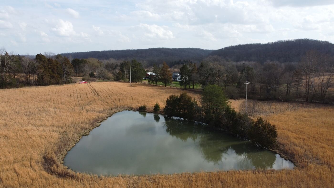 Image for 80 acre Farm on Beaverdam Creek / Offered in two tracts