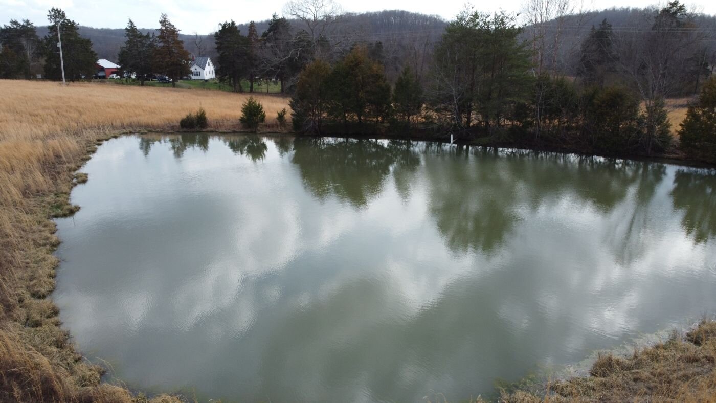 Image for 80 acre Farm on Beaverdam Creek / Offered in two tracts