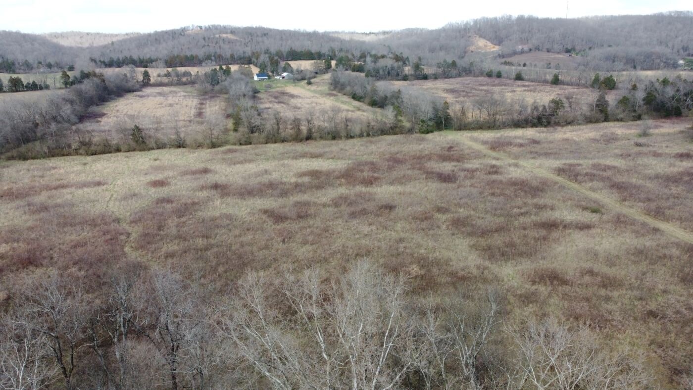 Image for 80 acre Farm on Beaverdam Creek / Offered in two tracts