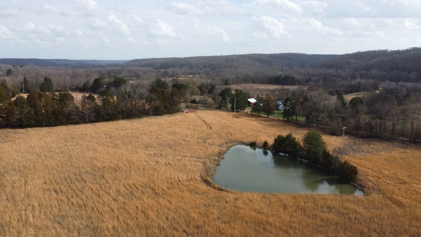 Image for 80 acre Farm on Beaverdam Creek / Offered in two tracts