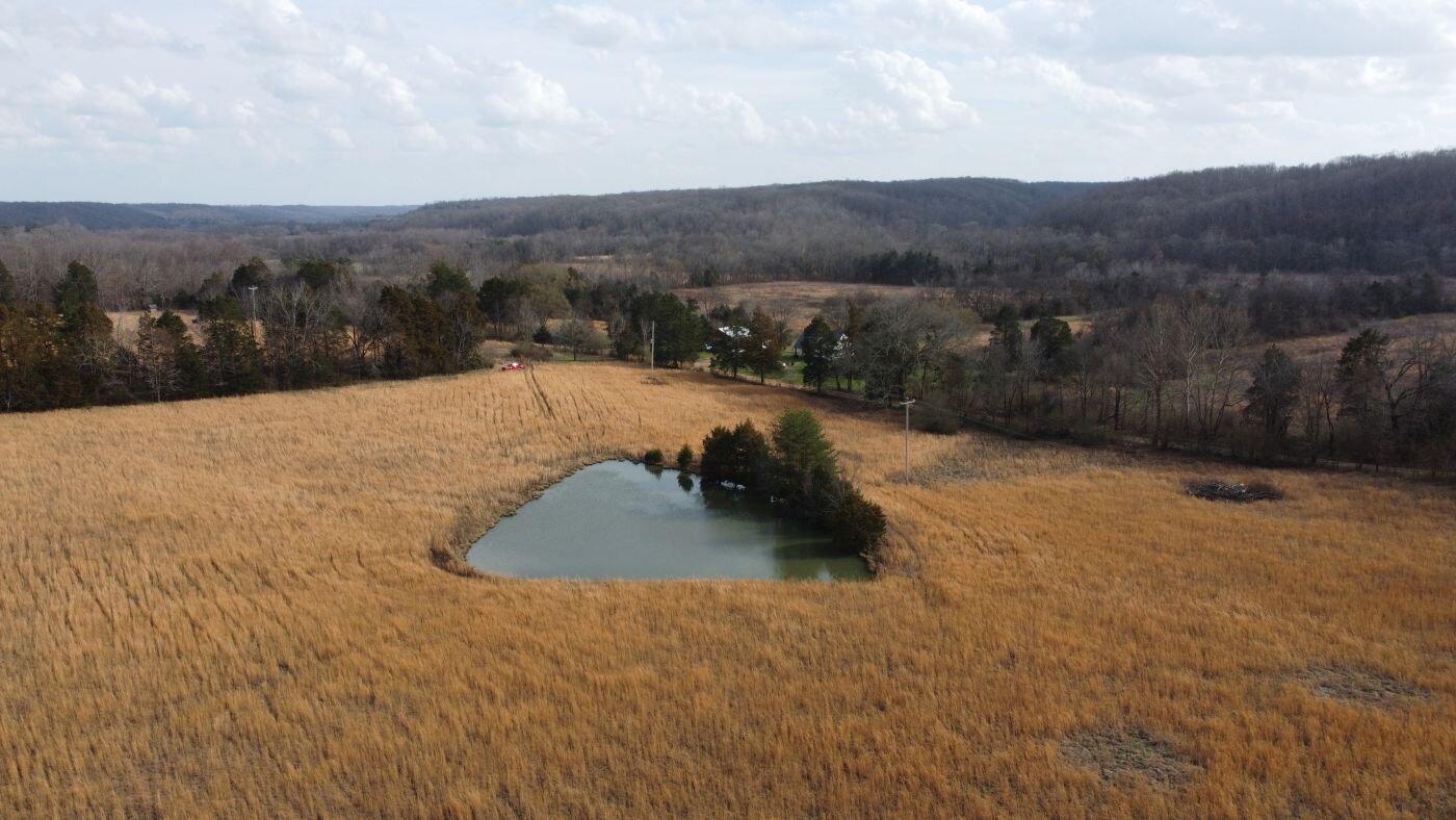 Image for 80 acre Farm on Beaverdam Creek / Offered in two tracts