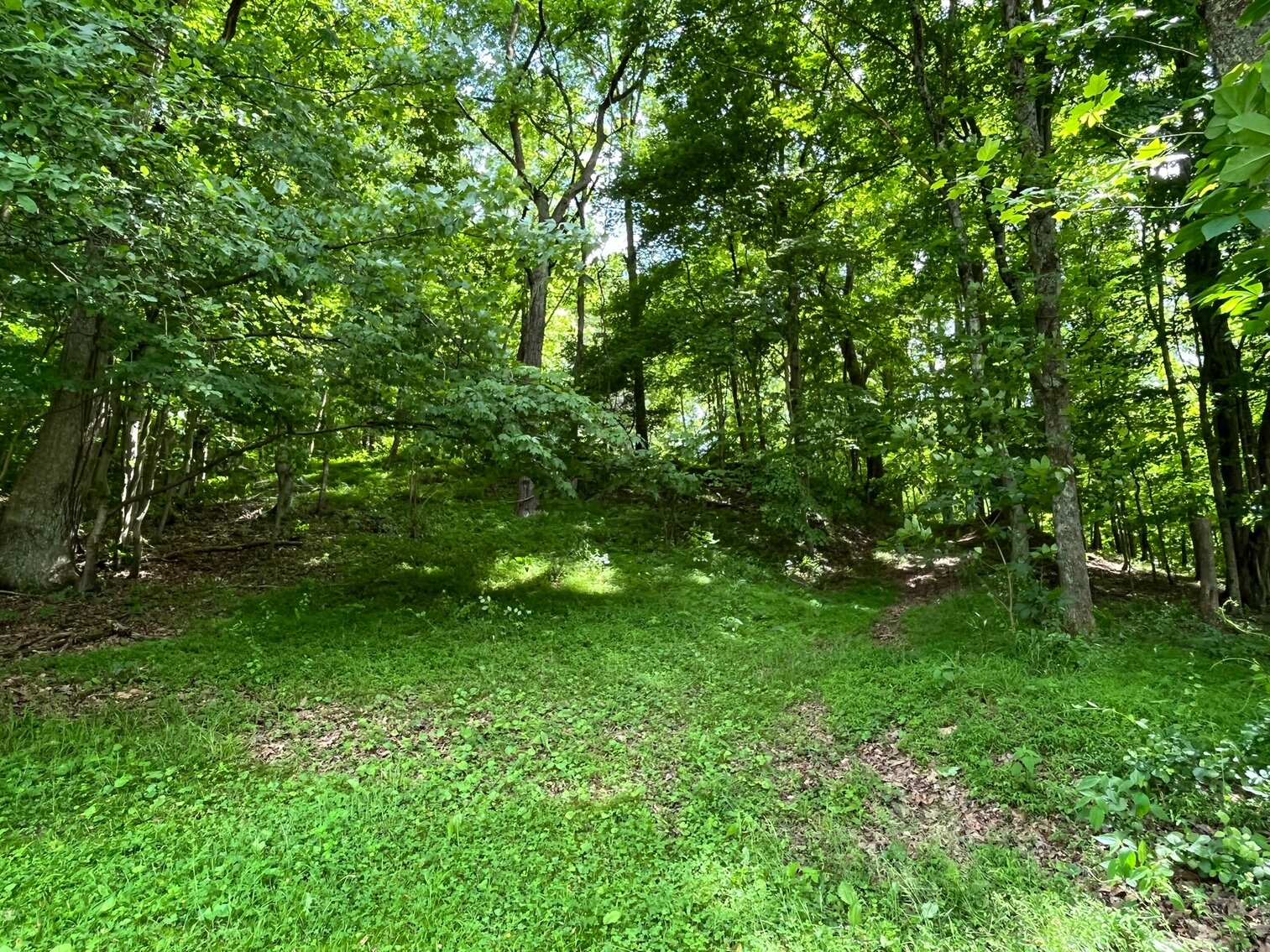 Image for SOLD $368,500 - 3 Bedroom on 66 Acres