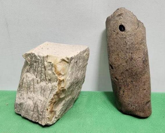 Image for PREHISTORIC FOSSIL ONLINE AUCTION