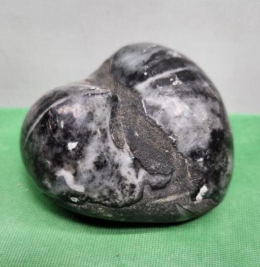 Image for PREHISTORIC FOSSIL ONLINE AUCTION