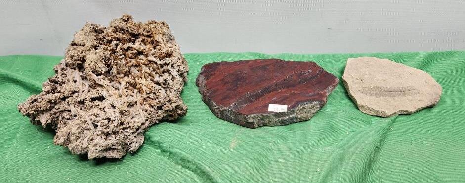 Image for PREHISTORIC FOSSIL ONLINE AUCTION