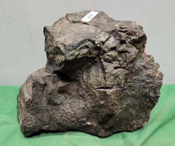 Image for PREHISTORIC FOSSIL ONLINE AUCTION