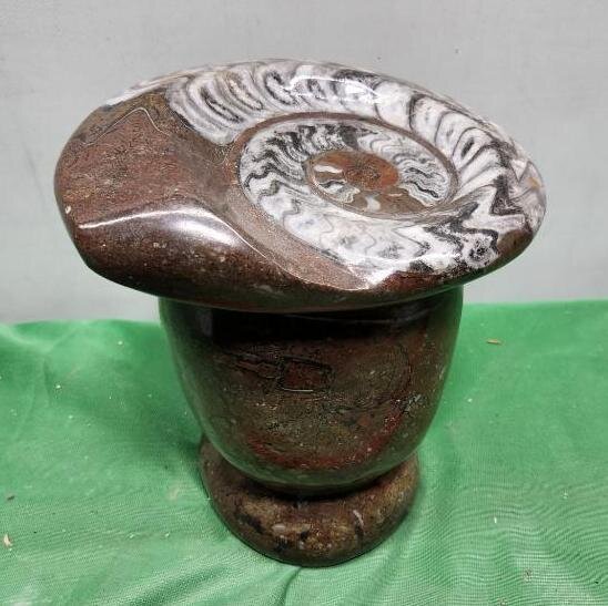 Image for PREHISTORIC FOSSIL ONLINE AUCTION