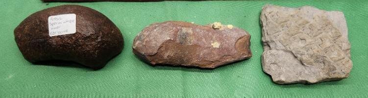 Image for PREHISTORIC FOSSIL ONLINE AUCTION
