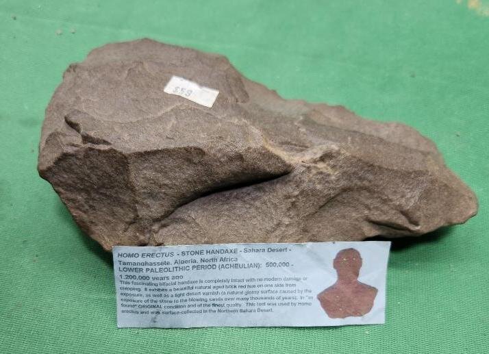 Image for PREHISTORIC FOSSIL ONLINE AUCTION