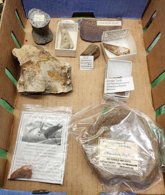 Image for PREHISTORIC FOSSIL ONLINE AUCTION