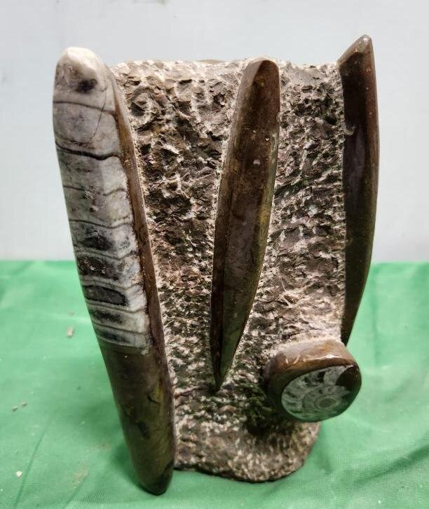 Image for PREHISTORIC FOSSIL ONLINE AUCTION