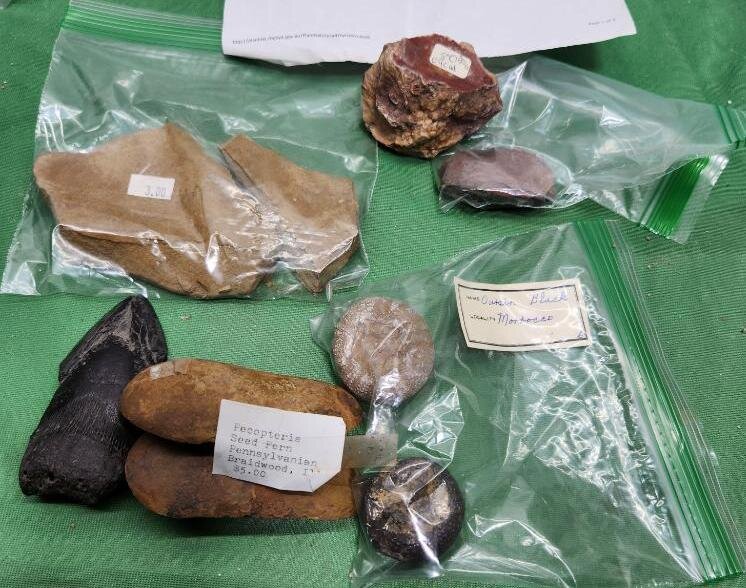 Image for PREHISTORIC FOSSIL ONLINE AUCTION