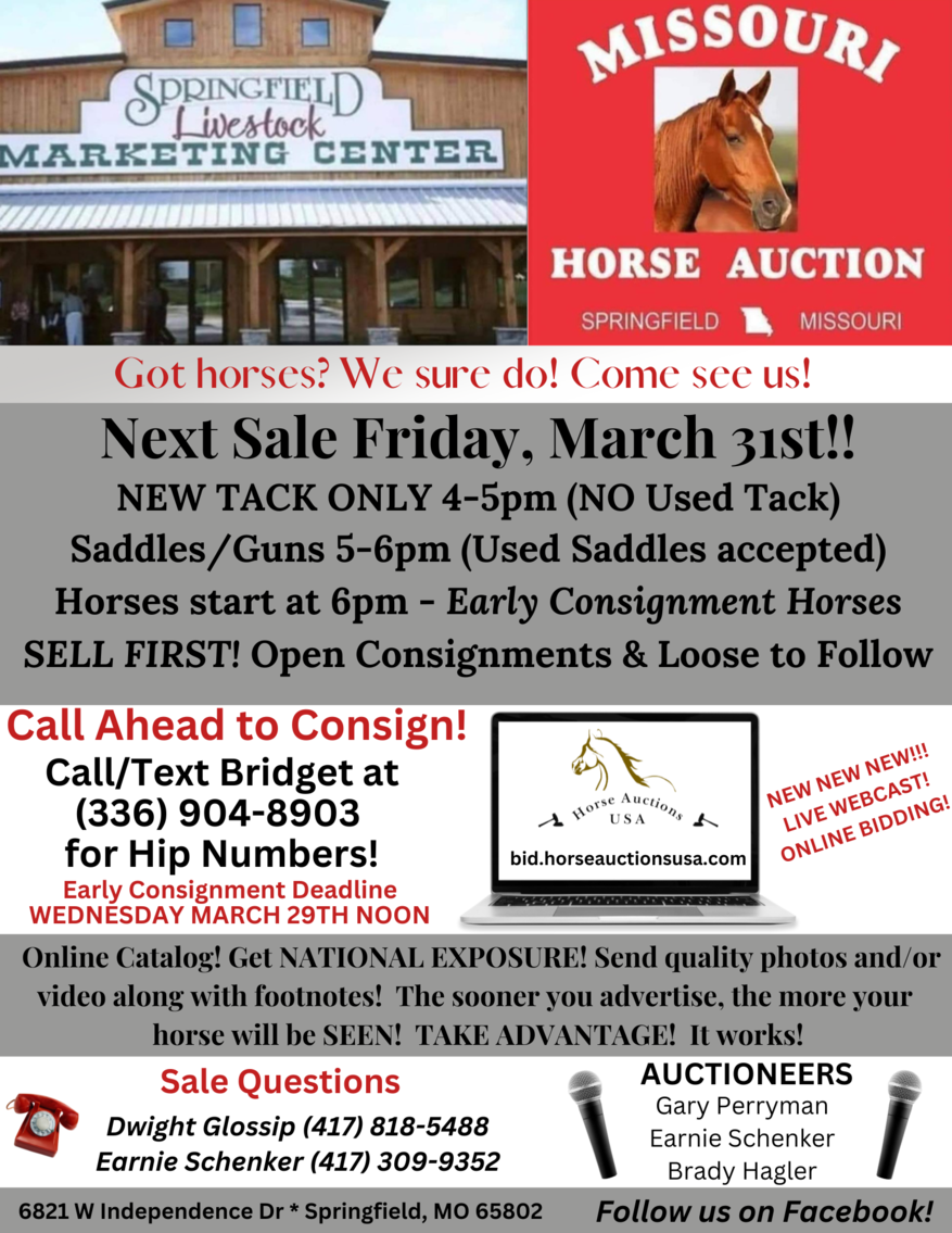 Image for Missouri Horse Auction Springfield, MO FRIDAY, March 31st!