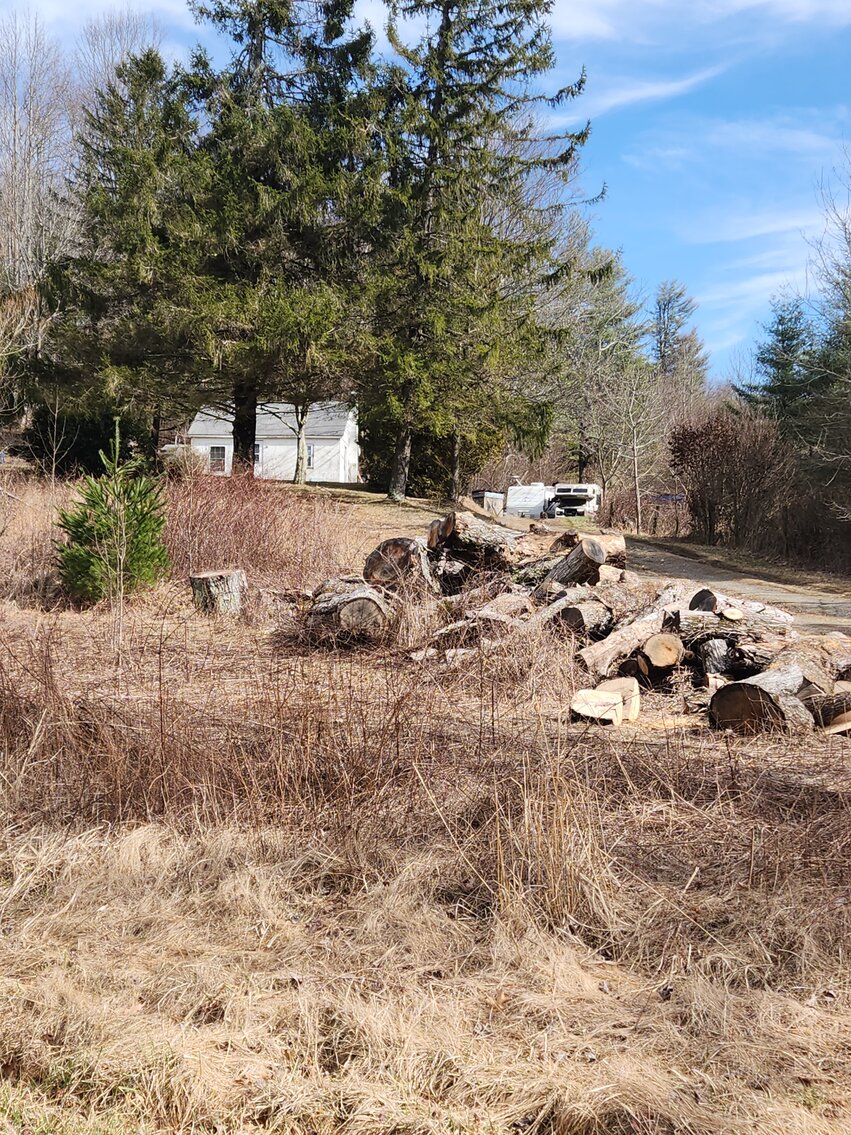 Image for Delinquent Tax and Special Commissioners Real Estate Auction