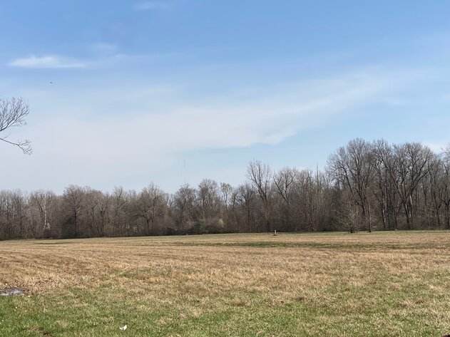 Image for Absolute Online Only Land Auction