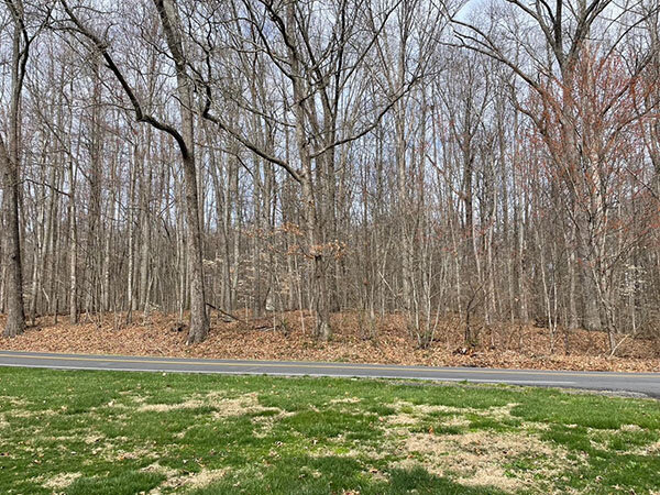 Image for SATURDAY, MARCH 25th * 10:00 AM