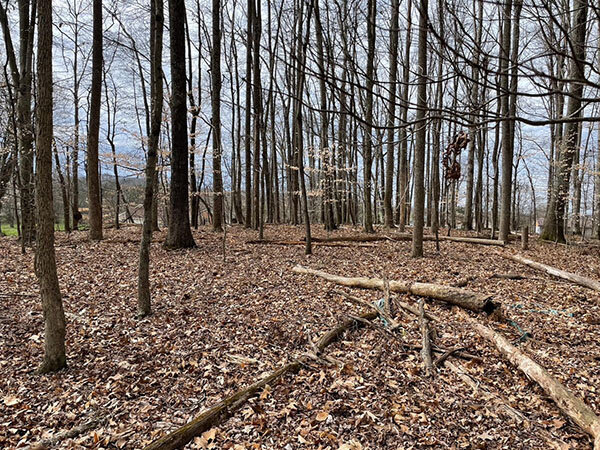 Image for SATURDAY, MARCH 25th * 10:00 AM