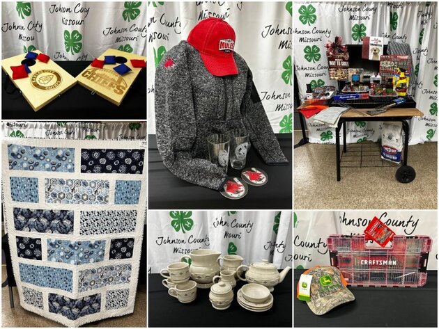 Image for Johnson County, MO 4-H