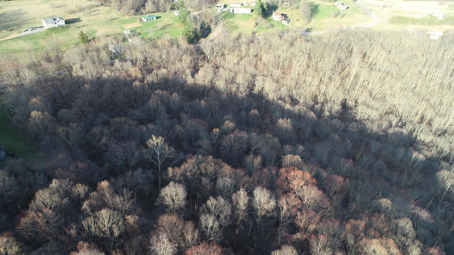 Image for SOLD $319,000 - Nearly 19 Acres Along Halleck Road