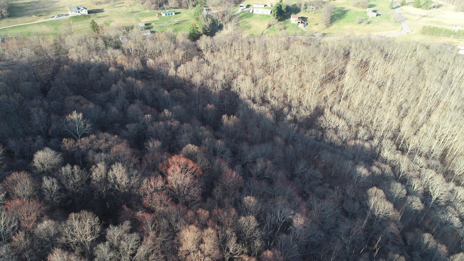 Image for SOLD $319,000 - Nearly 19 Acres Along Halleck Road