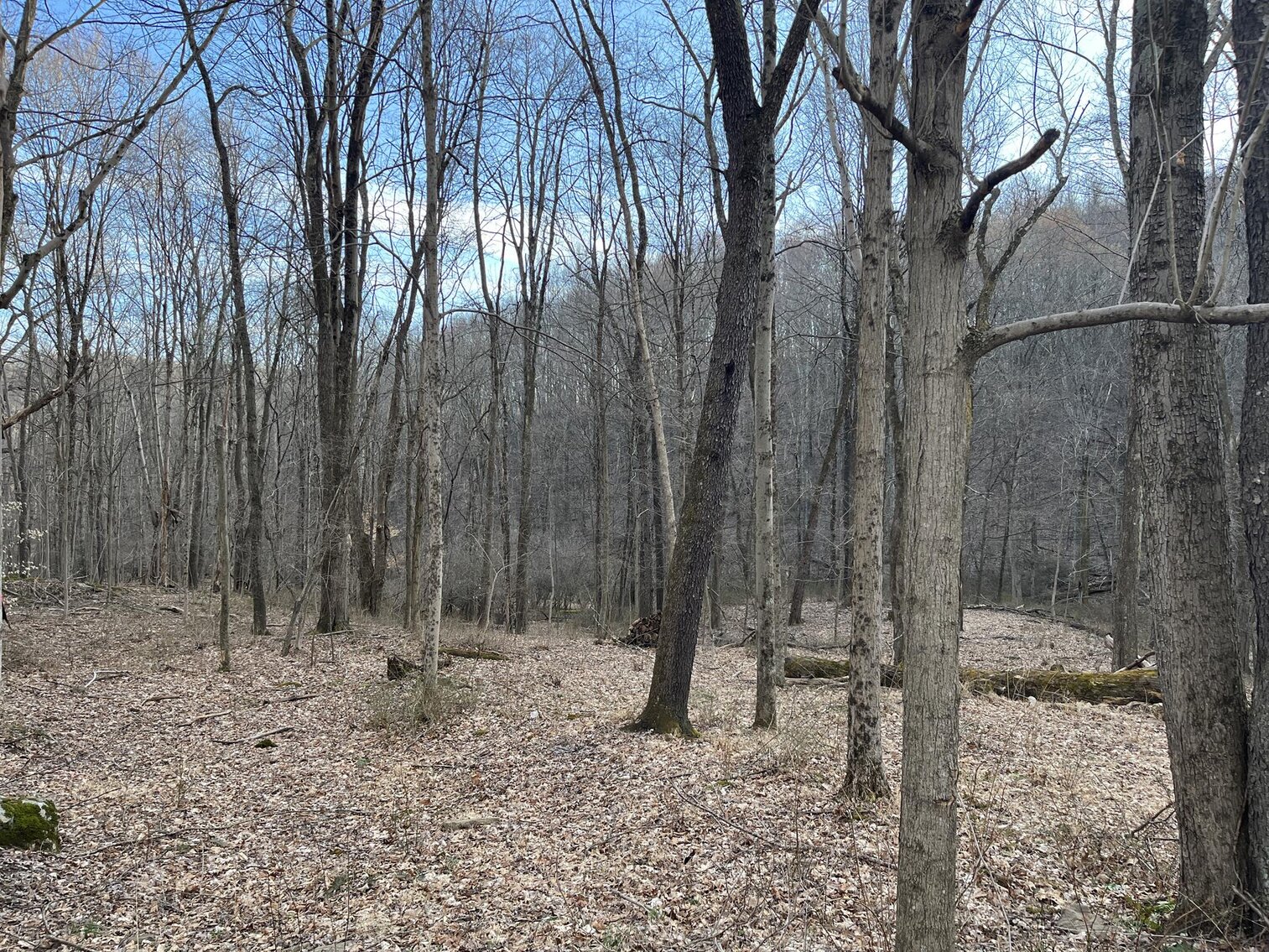 Image for SOLD $319,000 - Nearly 19 Acres Along Halleck Road