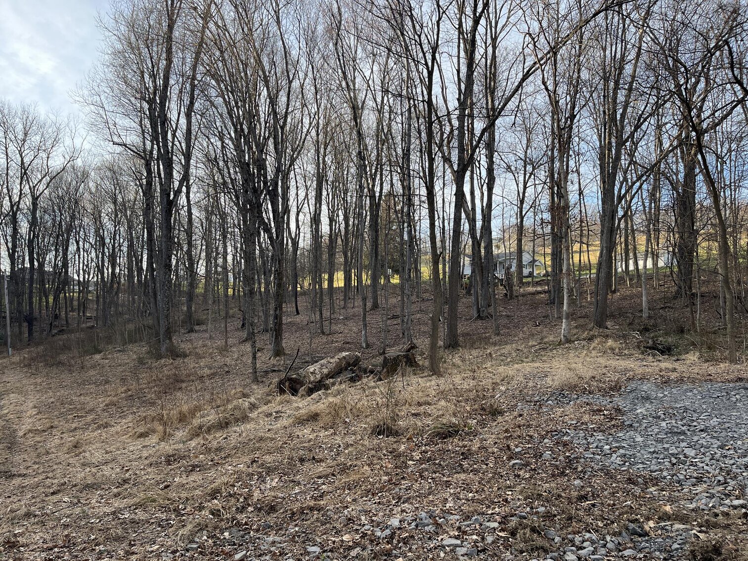 Image for SOLD $319,000 - Nearly 19 Acres Along Halleck Road