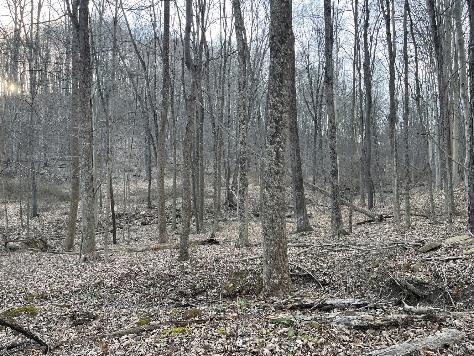 Image for SOLD $319,000 - Nearly 19 Acres Along Halleck Road