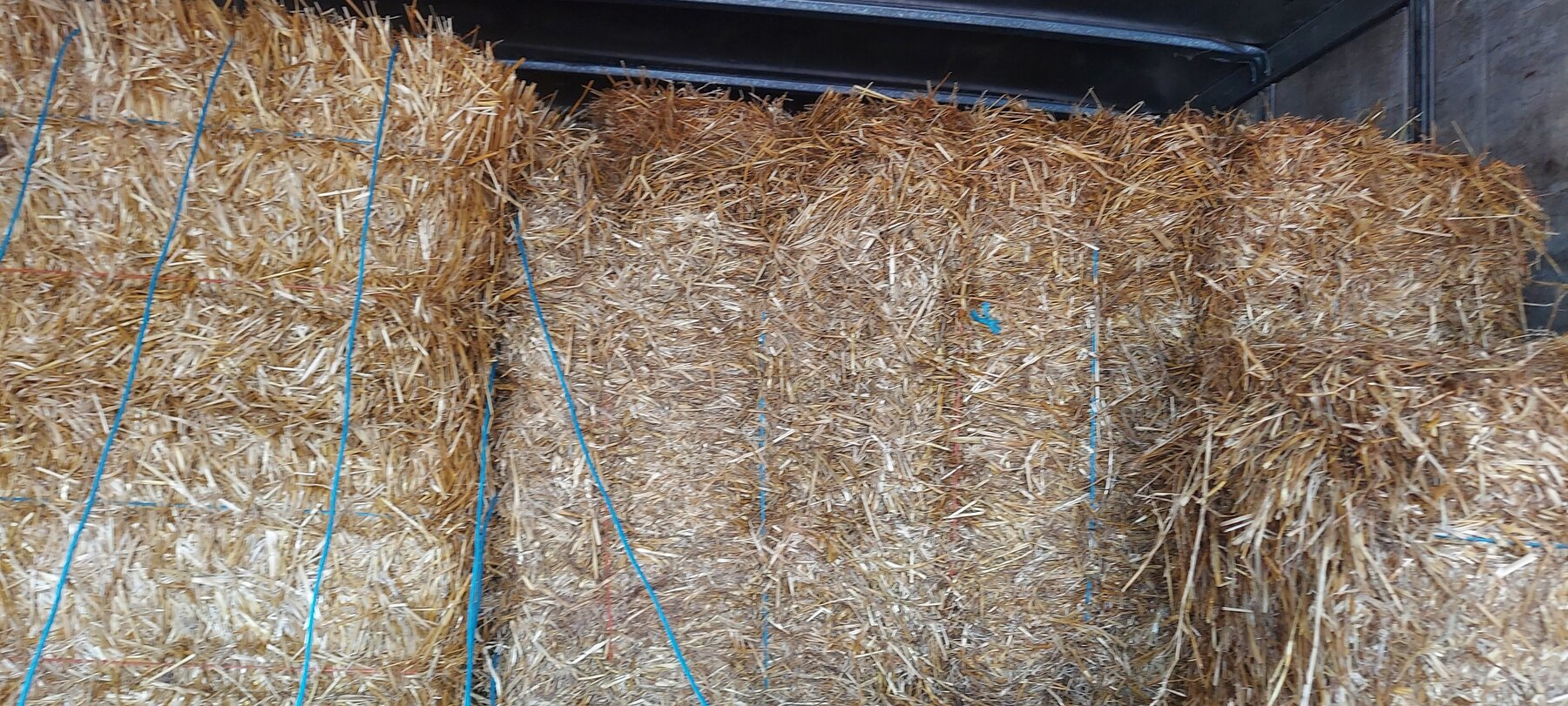 Image for Frazier’s Bottom, WV – Lawn Care Equipment, Supplies, Feed, and More!