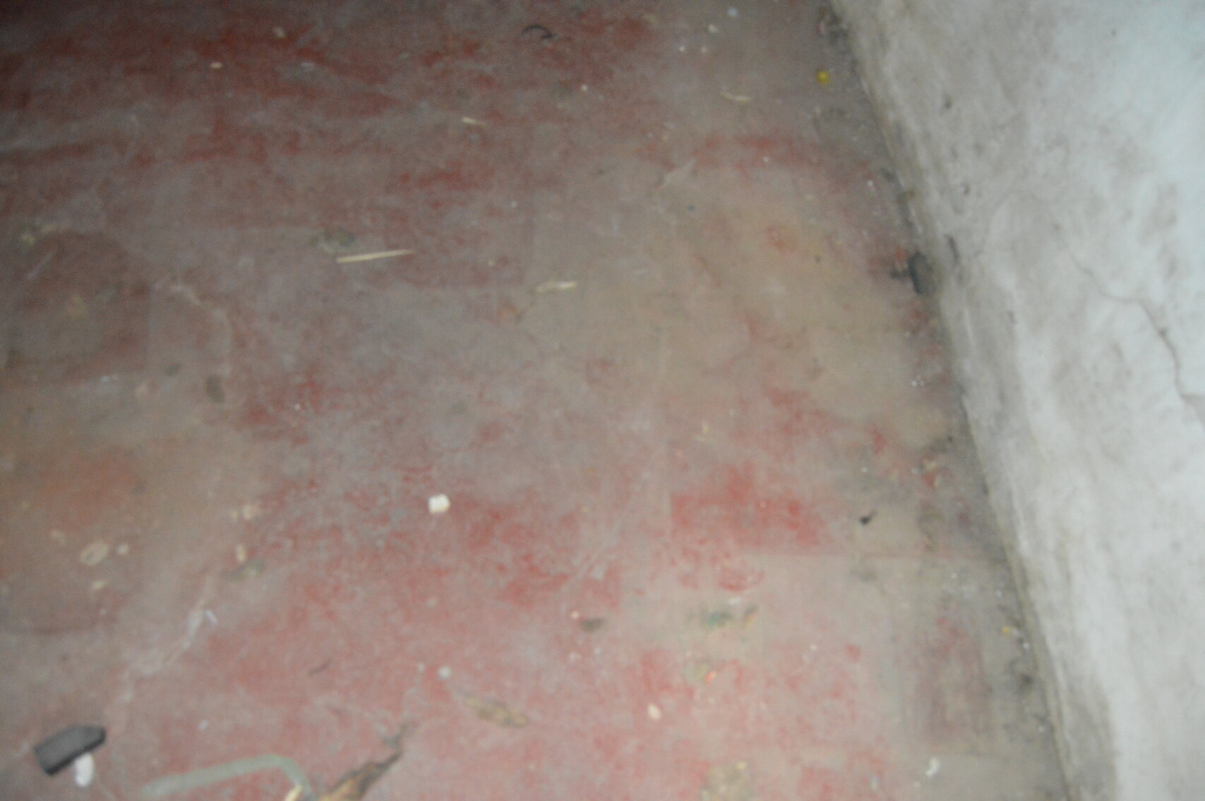 Image for 2 Bedroom |  1 Bath Bungalow