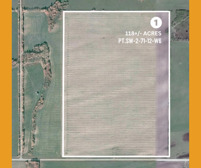 Image for RIO GRANDE FARMLAND