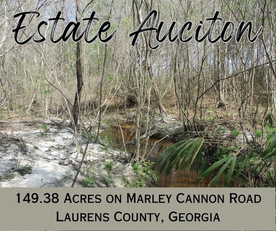 Image for LIVE AUCTION - 149.38 Acres on Marley Cannon Road in Laurens, County, Georgia
