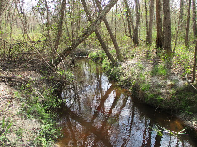 Image for LIVE AUCTION - 149.38 Acres on Marley Cannon Road in Laurens, County, Georgia