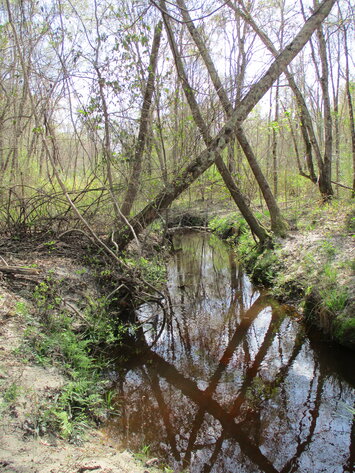 Image for LIVE AUCTION - 149.38 Acres on Marley Cannon Road in Laurens, County, Georgia