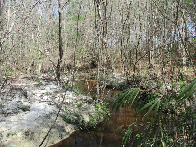 Image for LIVE AUCTION - 149.38 Acres on Marley Cannon Road in Laurens, County, Georgia