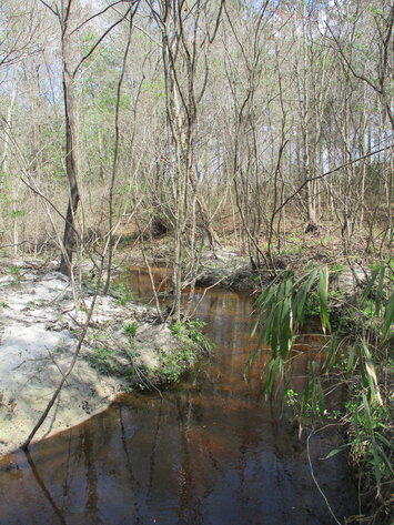 Image for LIVE AUCTION - 149.38 Acres on Marley Cannon Road in Laurens, County, Georgia