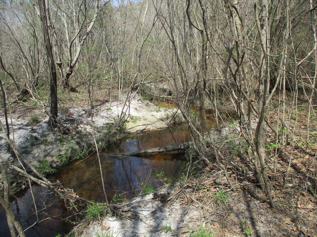 Image for LIVE AUCTION - 149.38 Acres on Marley Cannon Road in Laurens, County, Georgia