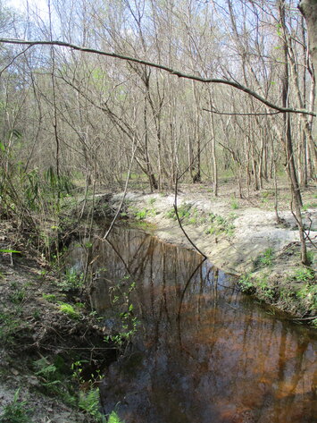 Image for LIVE AUCTION - 149.38 Acres on Marley Cannon Road in Laurens, County, Georgia