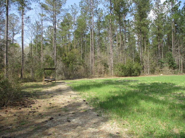 Image for LIVE AUCTION - 149.38 Acres on Marley Cannon Road in Laurens, County, Georgia