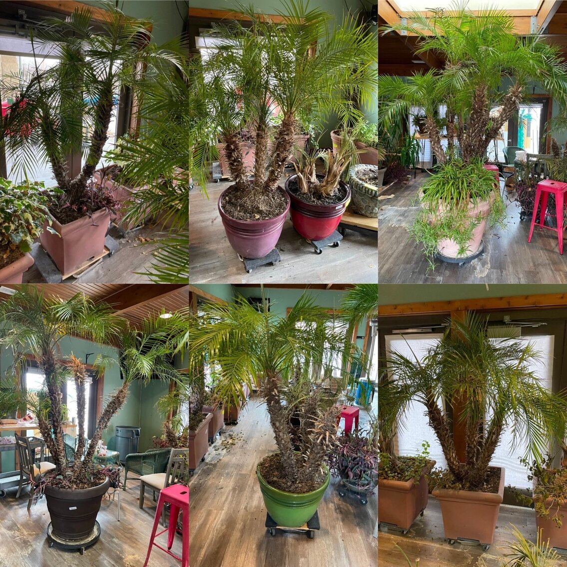 Image for Music & Event Venue, Bar & Grill - Dam Bar / River City Star Landing Liquidation