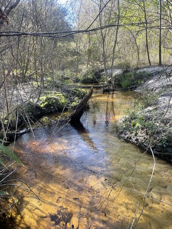 Image for LIVE AUCTION - 149.38 Acres on Marley Cannon Road in Laurens, County, Georgia