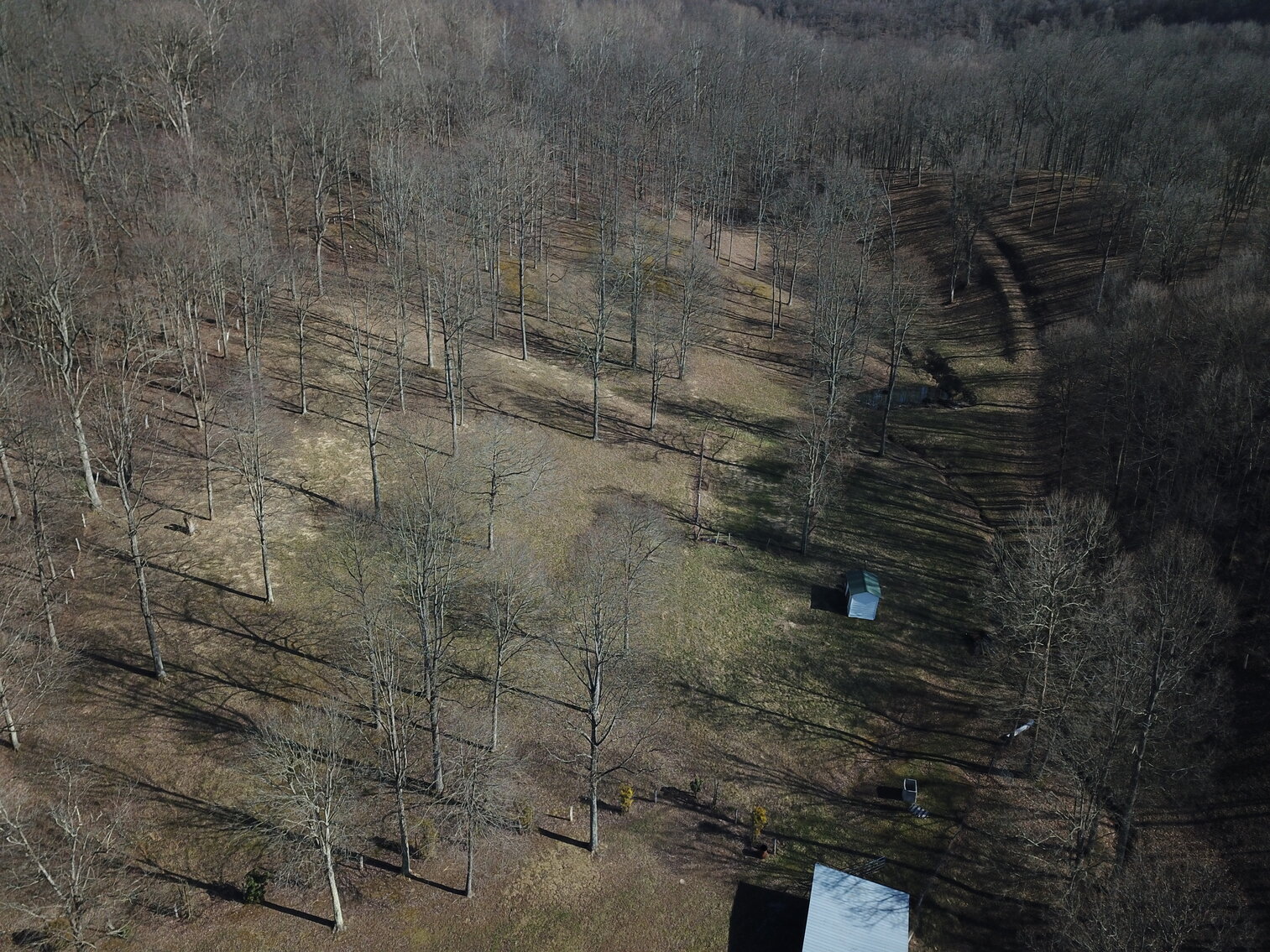 Image for SOLD $154,000 - 3 Bedroom on 10 Gently Sloping Acres