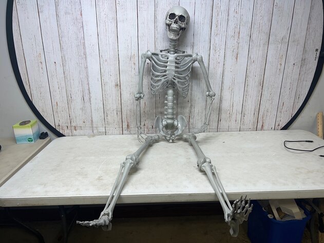 Image for Mar 30 Amazing Amazon Auction